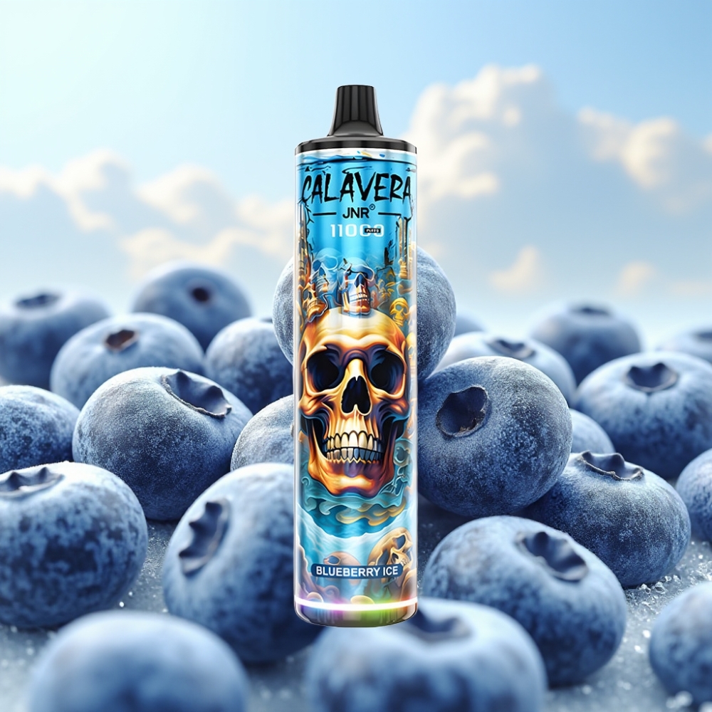 JNR Calavera 11000 Puffs Dispozabil Vape Borovnica Led, 850mAh, 21ml, 1.0ohm Mesh
