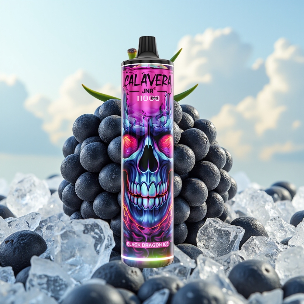 JNR Calavera 11000 Pufova Jednokratna Vape Crni Zmaj Led sa 850 mAh baterijom, 21ml tečnosti i 1.0ohm Mesh Coil