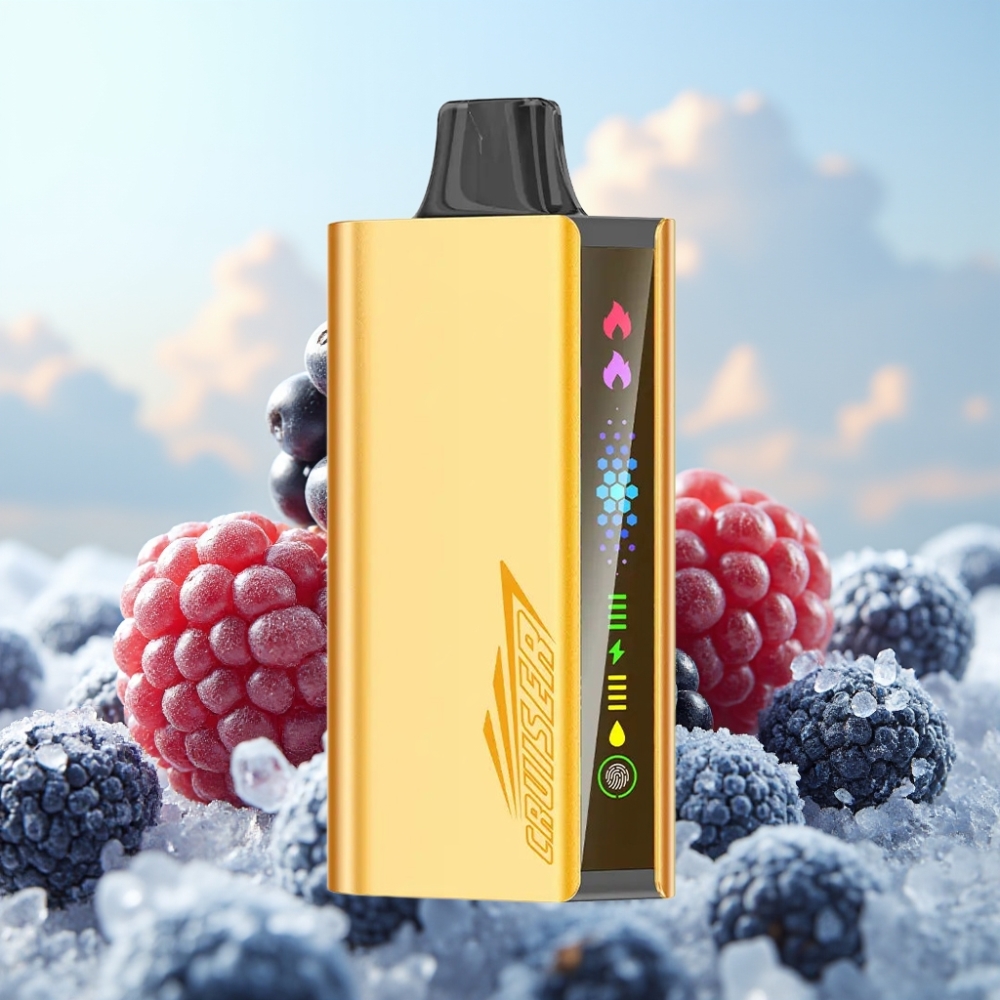 JNR Cruiser 12000 Puffs No-Charge Dispozabil Vape Боровница Лед – 3500 mAh, 25ml, Dual Mesh, Алуминијумско тело