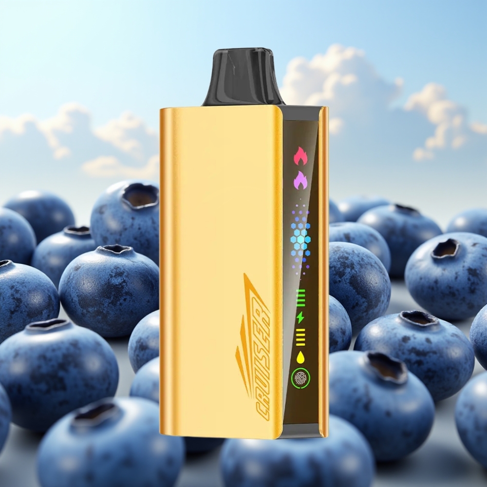 JNR Cruiser 12000 Puffs No-Charge Dispozabil Vape Borovnica Eksplozija – 3500 mAh Baterija, 25ml Tekućina, 1.2ohm Dual Mesh Coil