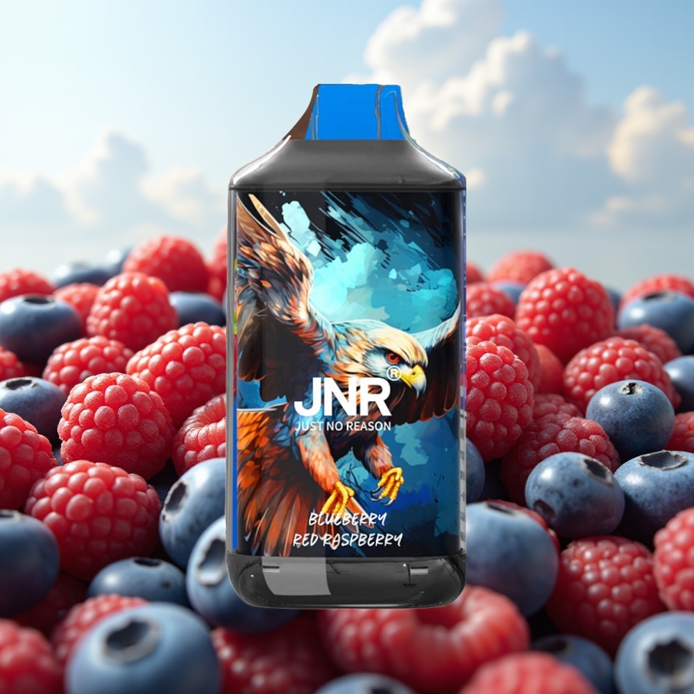 JNR Falcon 16000 Puffs Dispozabil Vape Borovnica Crvena Malina, 850 mAh, 22ml, Dual Mesh Coil