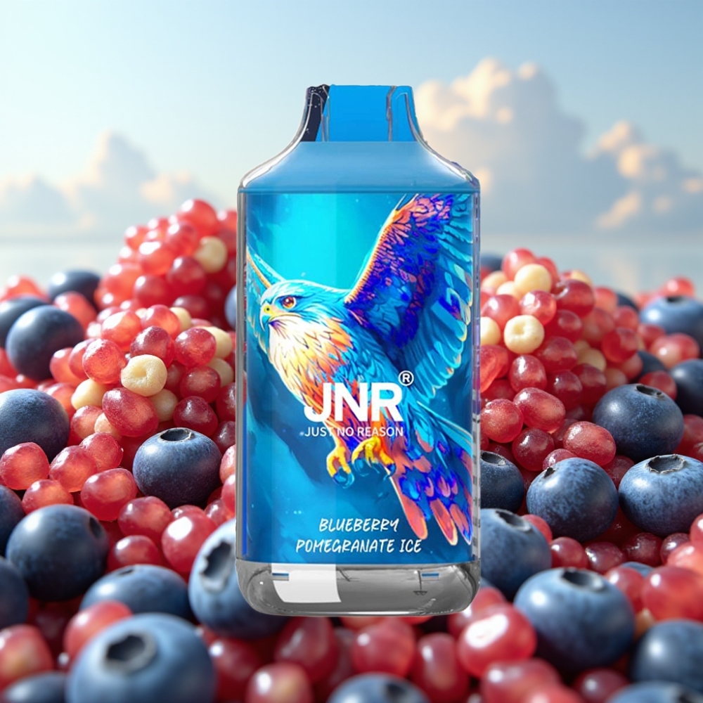 JNR Falcon 16000 Puffs Dispozabil Vape Borovnica Narandža Led sa 850 mAh baterijom i 22ml tečnosti