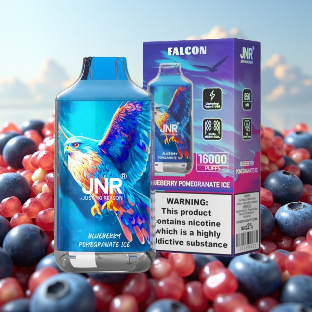 JNR Falcon 16000 Puffs Dispozabil Vape Borovnica Narandža Led sa 850 mAh baterijom i 22ml tečnosti