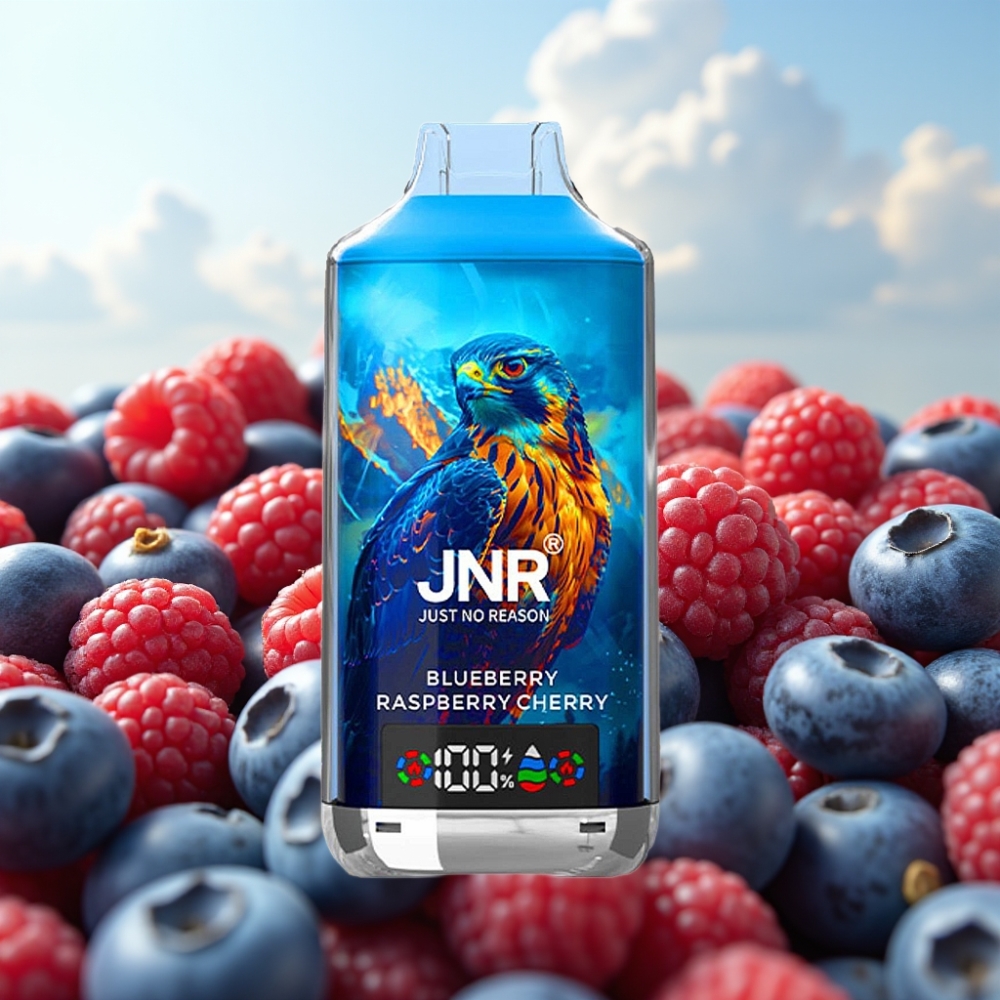 JNR Falcon X 18000 Puffs Dispozabil Vape Borovnica Malina Trešnja, 24ml, Dual Mesh Coil, Type-C