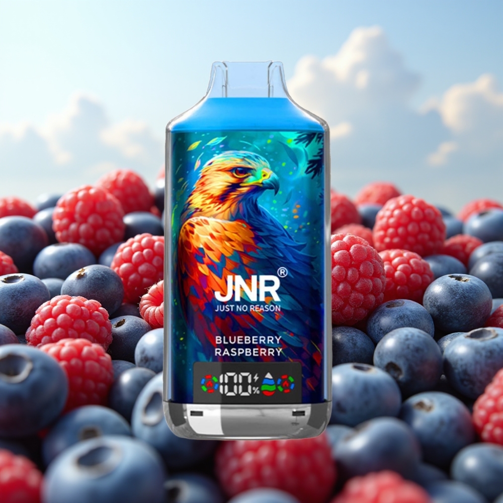 JNR Falcon X 18000 Puffs Dizposable Vape Borovnica Malina – 24ml, Dual Mesh Coil, Type-C punjenje