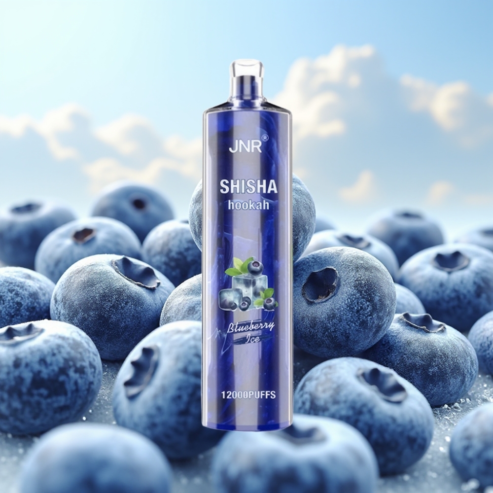 JNR Shisha Hookah 12000 Puffs Dispozabil Vape Borovnica Led 12000 Pufova, 750mAh, 24ml, Tip-C