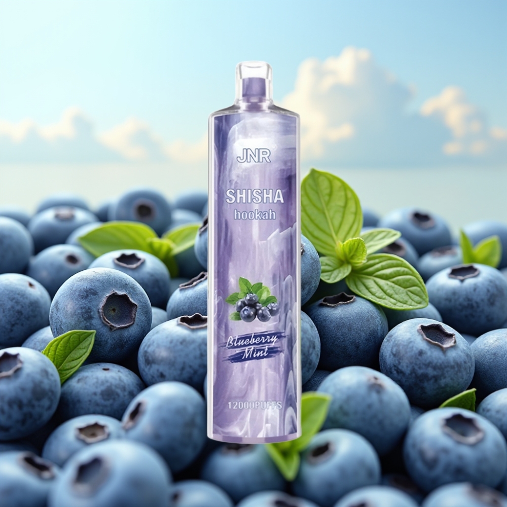 JNR Shisha Hookah 12000 Puffs Dispozabil Vape Borovnica-Menta 12000 Pufova, 750mAh, 24ml, Type-C