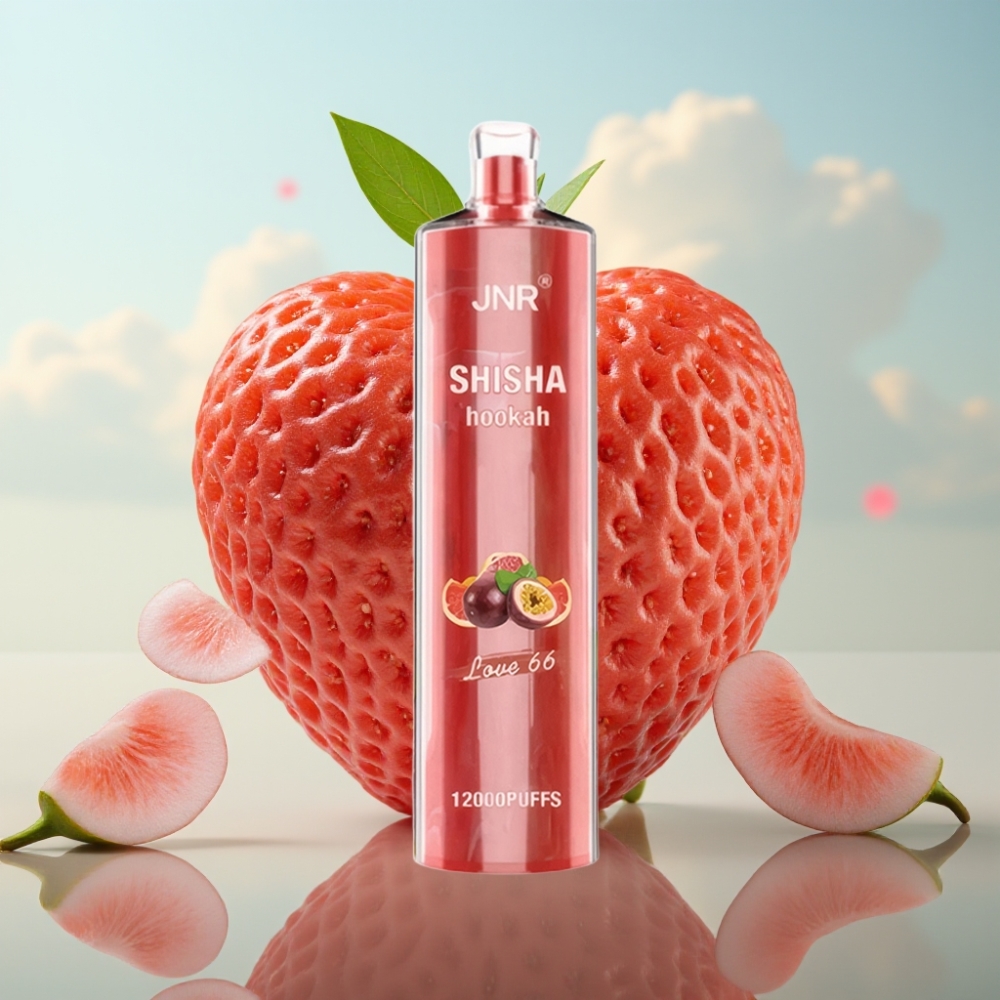 JNR Shisha Hookah 12000 Puffs Dispozabil Vape Love 66 – 750mAh, 24ml, 0.6 Ohm mesh coil