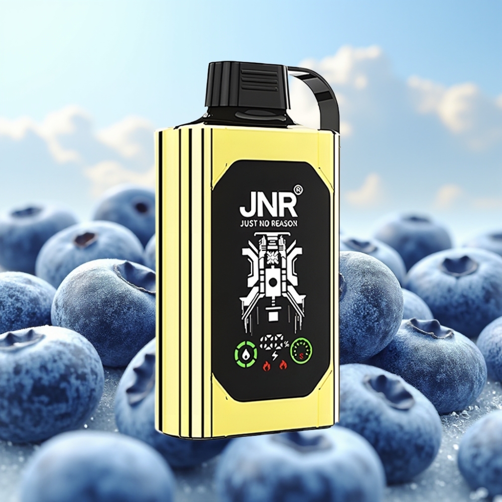 JNR Shisha Hookah Box 20500 Puffs Dispozabil Vape Borovnica Led – 25ml, Dual Mesh Coil, Type-C