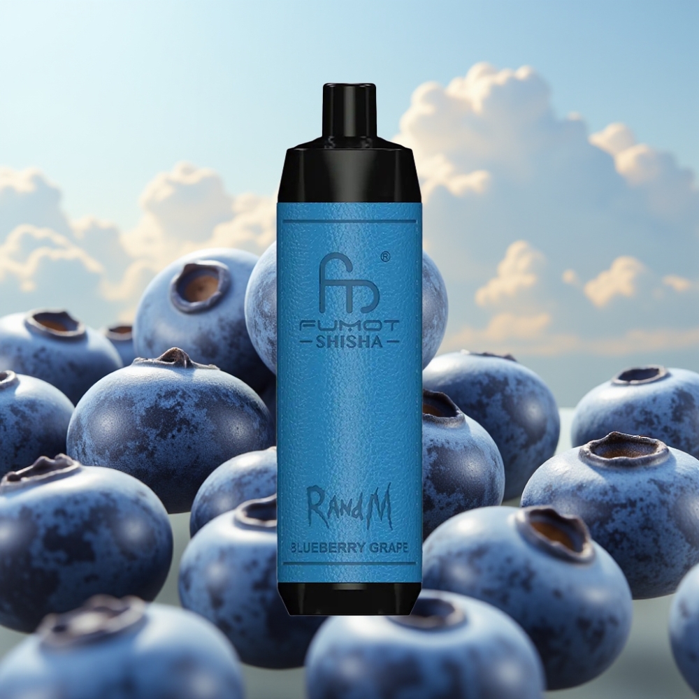 RandM Fumot Shisha 10000 Puffs Dispozabil Vape Borovnica Grožđe - 18ml, 850mAh, 0.6ohm, Type-C